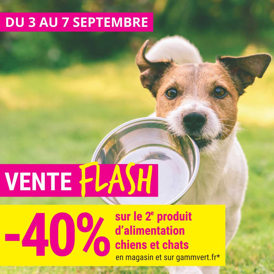 Gamm vert - Septembre 2025